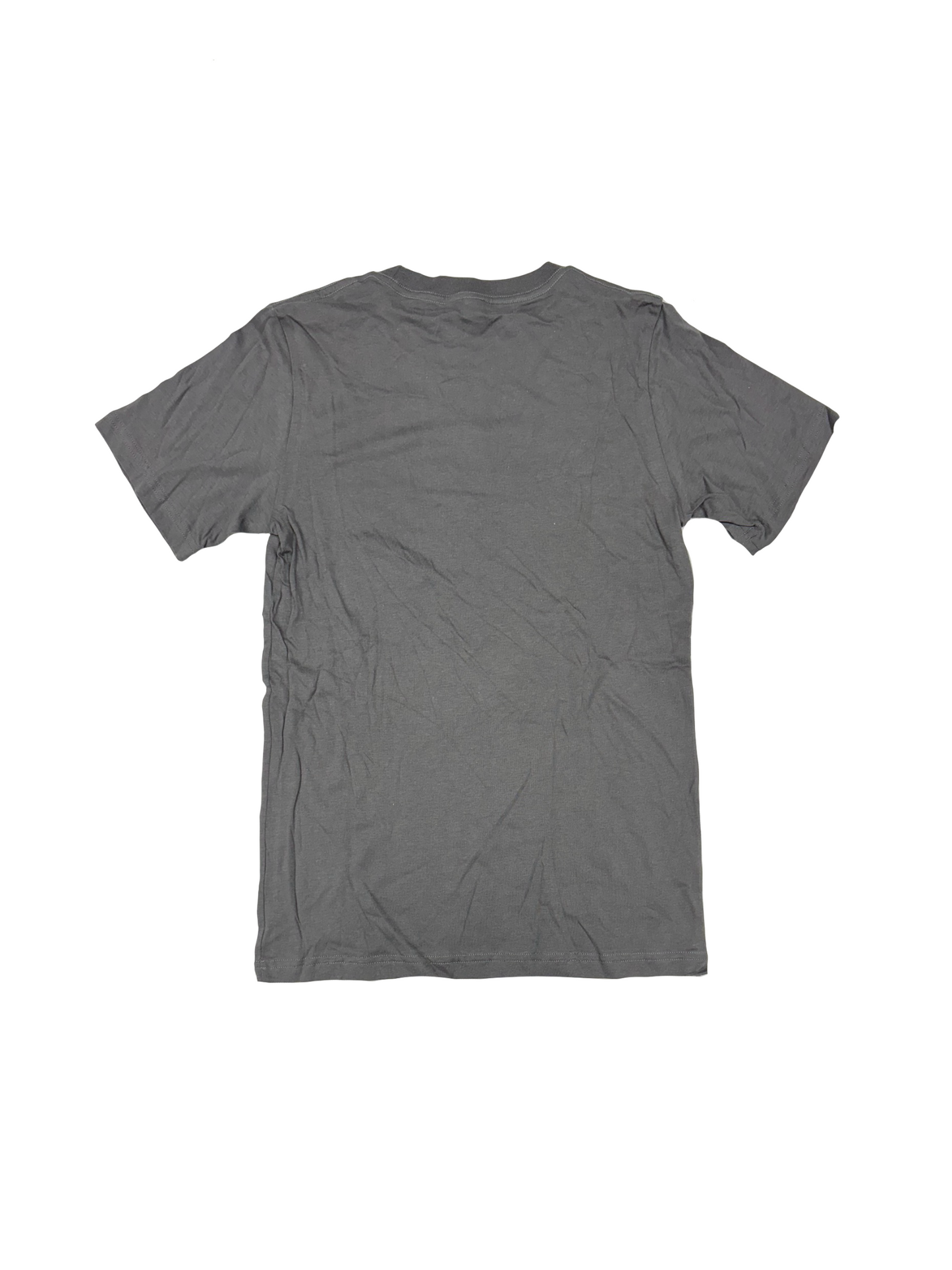 Small Light Grey Vintage T ( 2010) Silver Ink